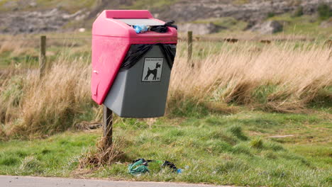 dog waste bin in a public dog walking area filled to over capacity with dog waste bags spilling onto the ground, full static shot