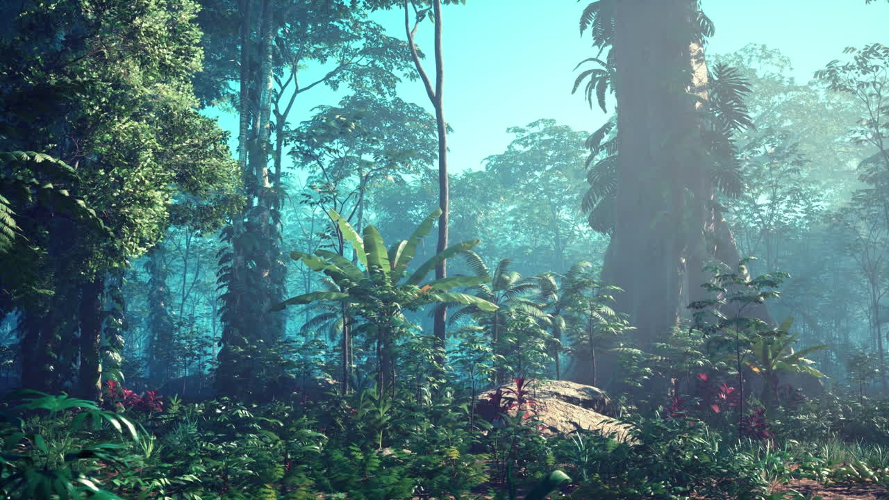 明るい緑色のモスで覆われた雨林の内側