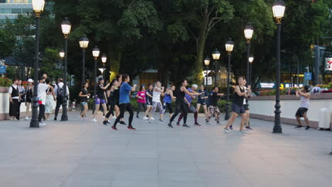 big group of people doing zumba dance with karate moves in the park in singapore - wide shot