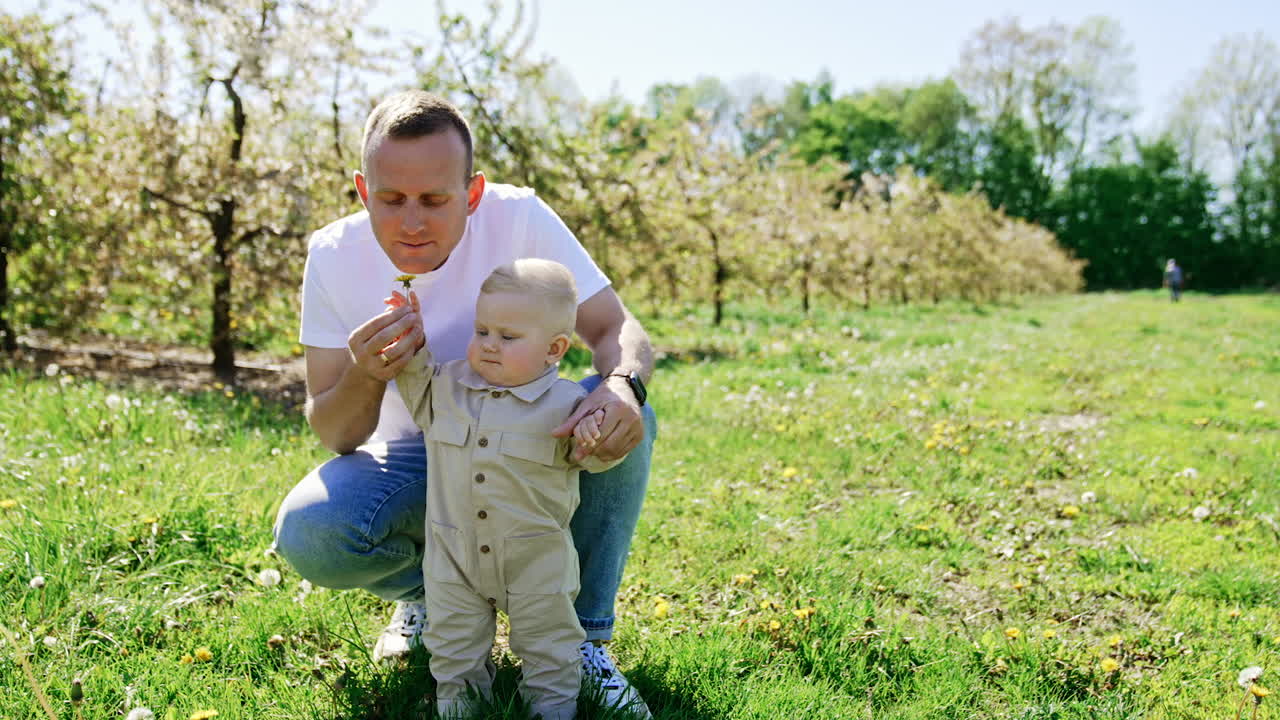 Caring daddy sits behind his little baby boy standing on the grass. Loving father talks to his son, smells the flower in his hand and smiles.