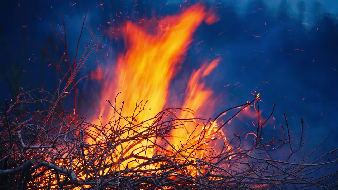 Blazing Flames Of A Burning Dried Twigs. Close-up Shot