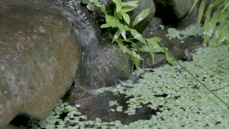 Pequeña-Corriente-De-Agua-Que-Corre-A-Través-De-Una-Superficie-Rocosa-Lisa-En-Un-Estanque,-4k