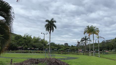 serene park landscape with palm trees under a cloudy sky