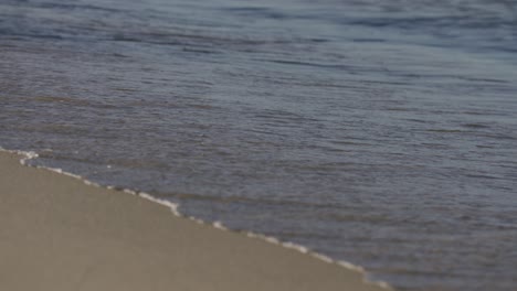 Close-Up-of-Calm-Water-Along-Clean-Sand-Shore-in-the-Fall