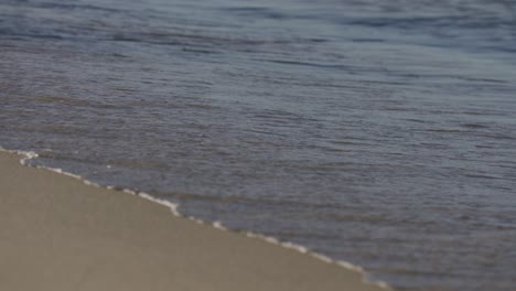 cerca de aguas tranquilas a lo largo de la costa de arena limpia en el otoño