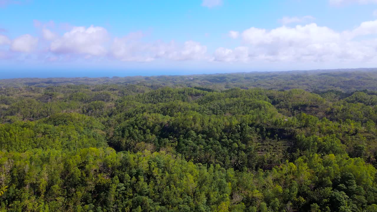 paisaje de bosque sin fin que conduce a la costa de indonesia, vista aérea