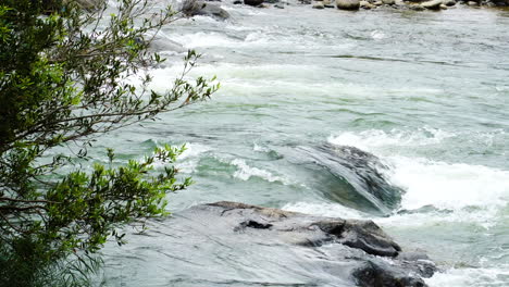 binh-phuoc-Vietnamese-national-park-static-shot-of-clean-water-stream-river-unpolluted-natural-landscape