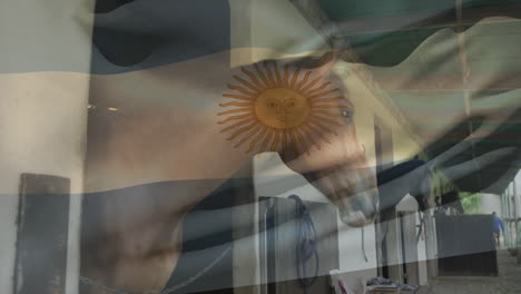 argentinian flag animation over horses in stable