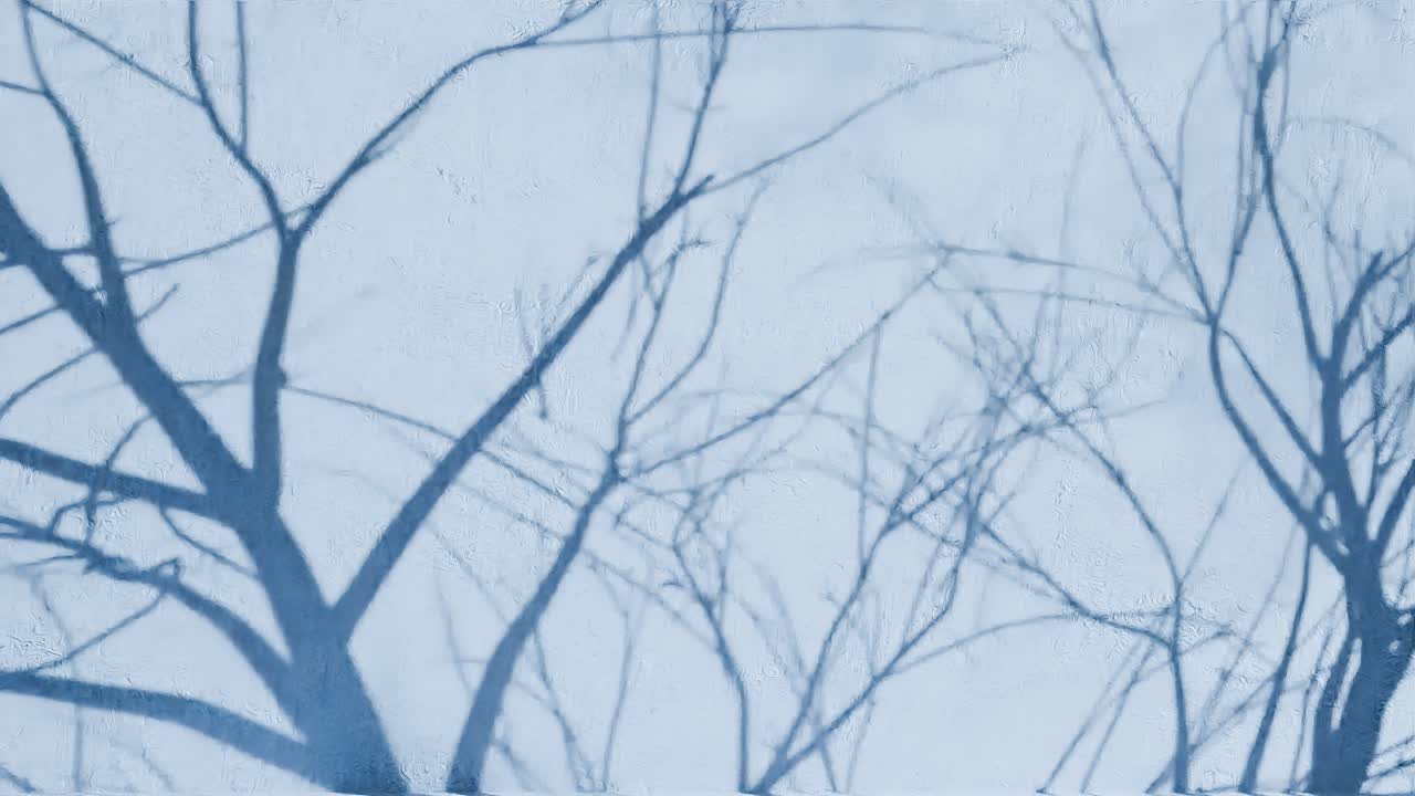 Tree branch shadows on textured blue wall
