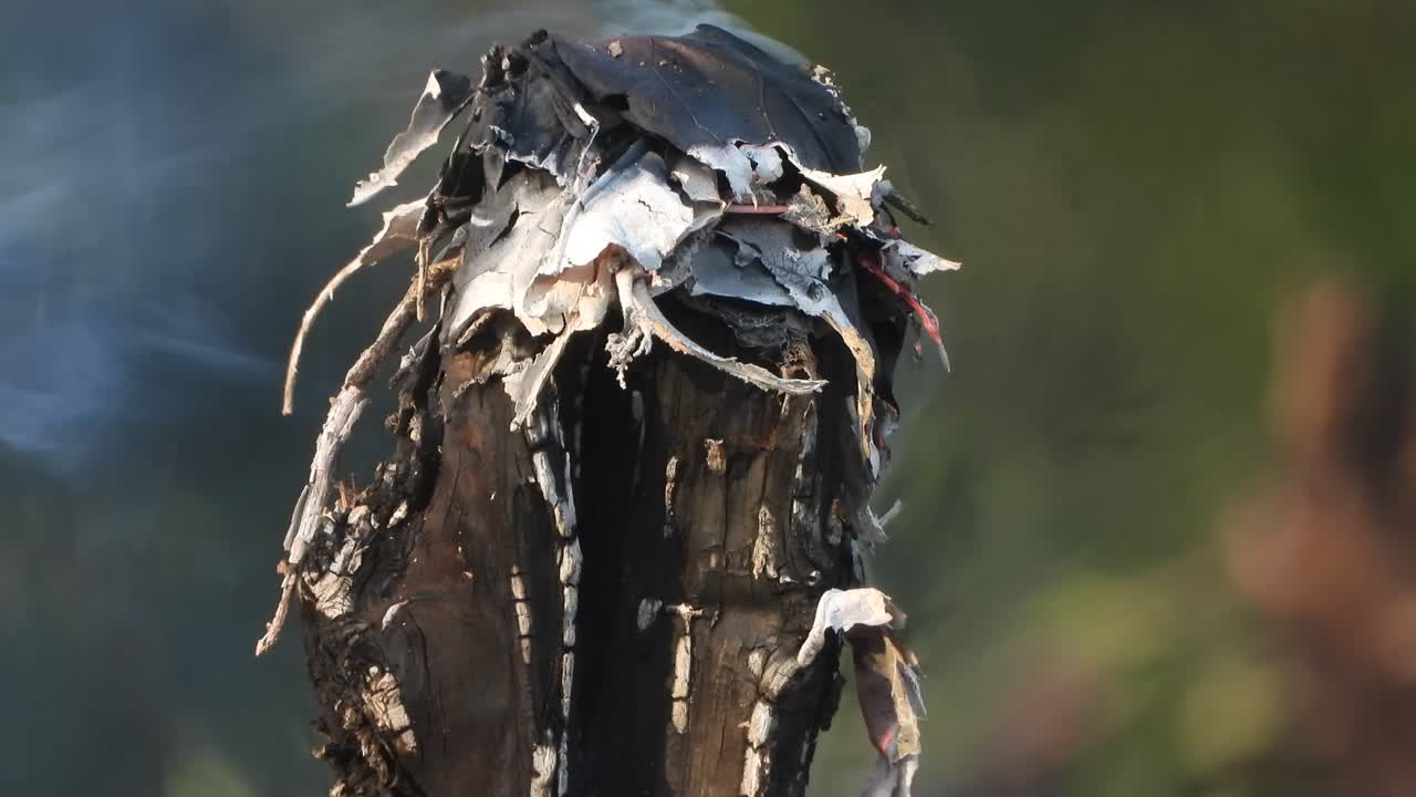 - огонь, дрова, дым