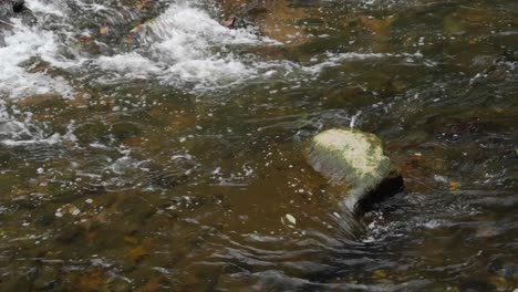 Wissahickon-Creek-Fluye-Sobre-Rocas,-Piedras