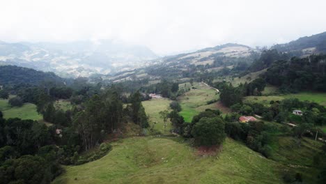 aerial pullback footage of hills covered with tall trees and mountain plants