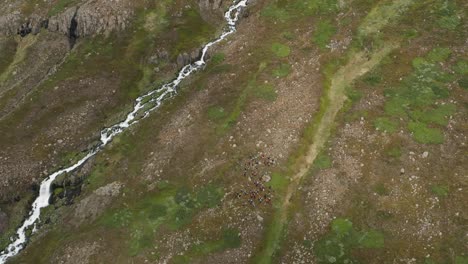 Group-of-hikers-on-Iceland-mountain-slope-gathered-before-climb,-aerial