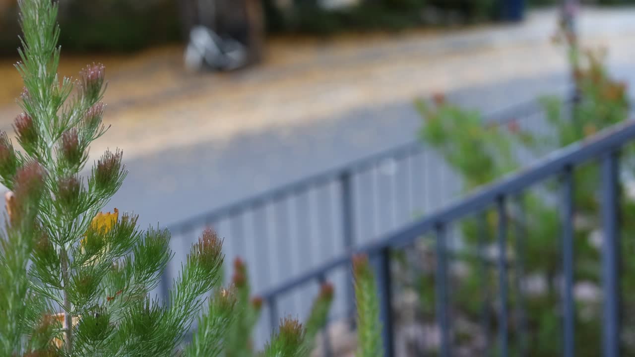 escalones individuales descendentes cerca de la vegetación y la barandilla