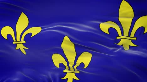 ile-de-france (region of france) flag waving in the wind with highly detailed fabric texture. seamless loop