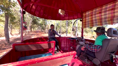 guided tram tour in scenic forest setting