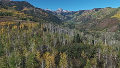 aerial view of colorful aspen trees in a mountain valley during autumn