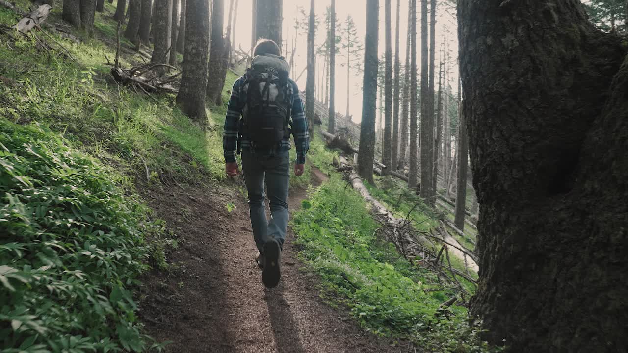 White male hiking on trail up peaceful lush high elevation green forest with sun flares tracking shot from behind