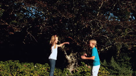 cheerful siblings having fun on a trampoline