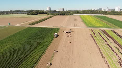 Frontal-aerial-shot-of-a-tractor-harvesting-potatoes-with-a-man-standing-behind-it