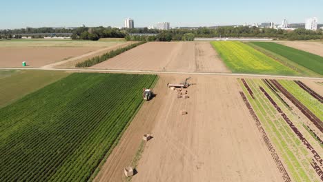 toma aérea frontal de un tractor cosechando papas con un hombre parado detrás