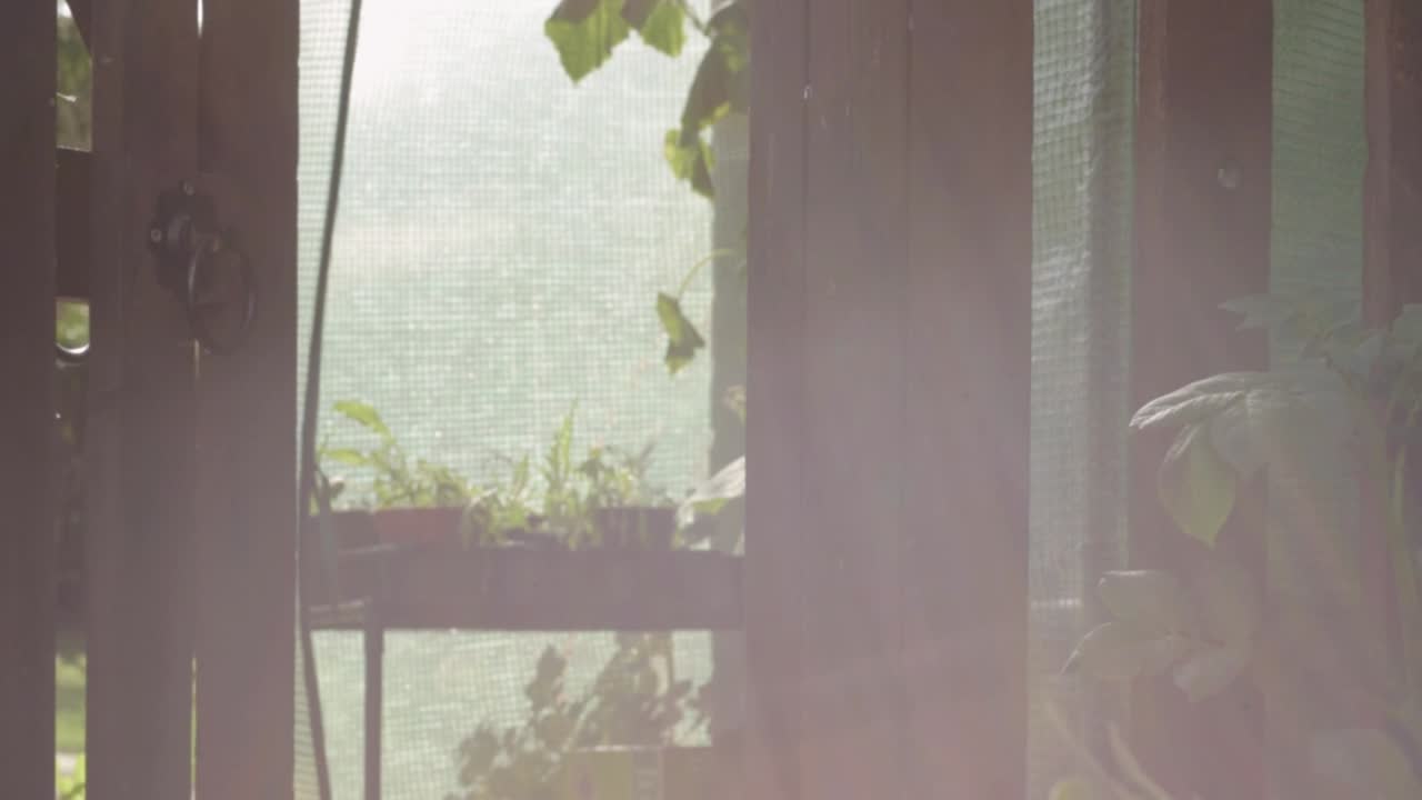 정원으로 들어가는 나무 문을 여는 것