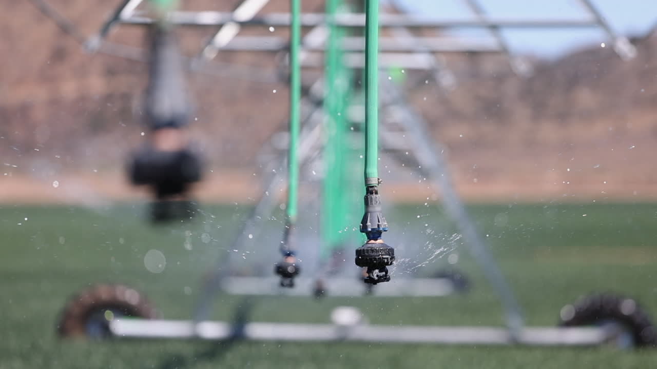Select focus bubbler irrigation nozzle waters food crop, nice bokeh
