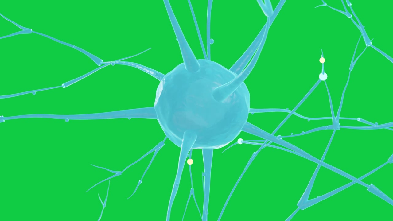 Rotazione della telecamera che avvia un neurone ciano rotante, marcatori pallidi che si muovono verso il soma mostrando un segnale trasparente