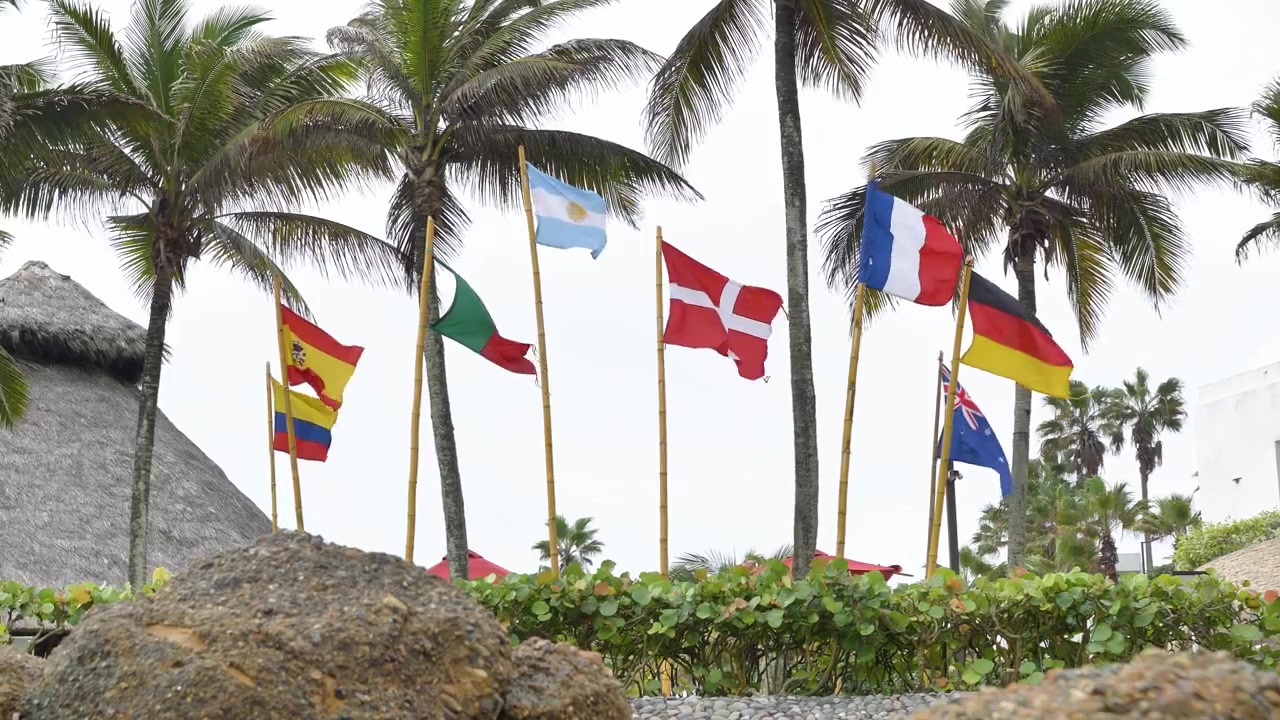 Flags of Spain, Colombia, Portugal, Argentina, Denmark, France, Germany, and Australia wave among palm trees at Mompiche beach, Ecuador, handheld shot