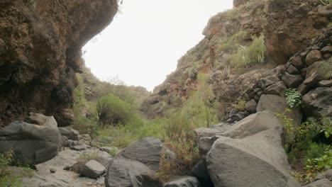 remote rocky volcanic ravine with green shrubs and grass in south tenerife rural countryside in spring, canary islands