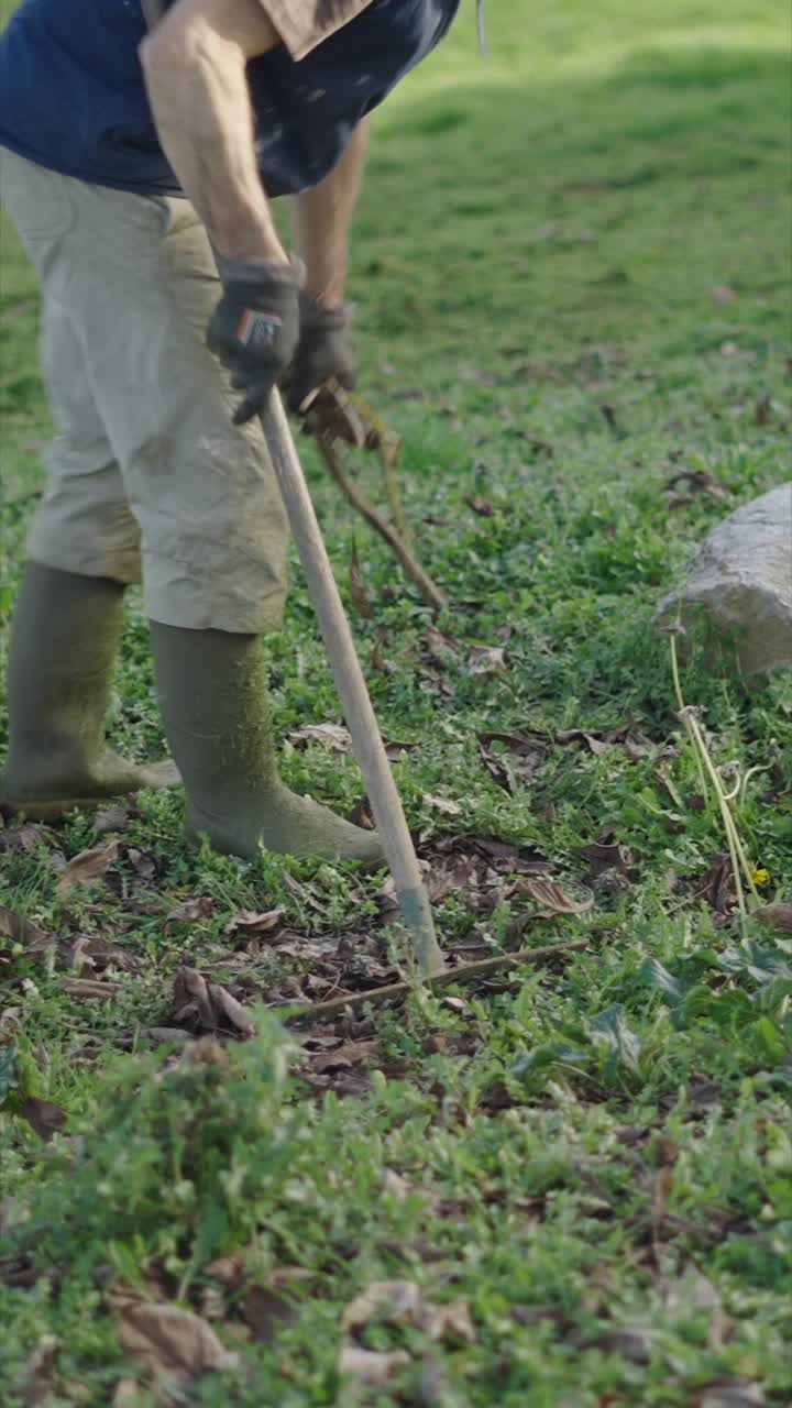 Gardening and Yard Work