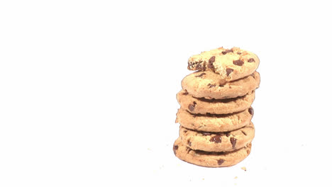 se están comiendo galletas.