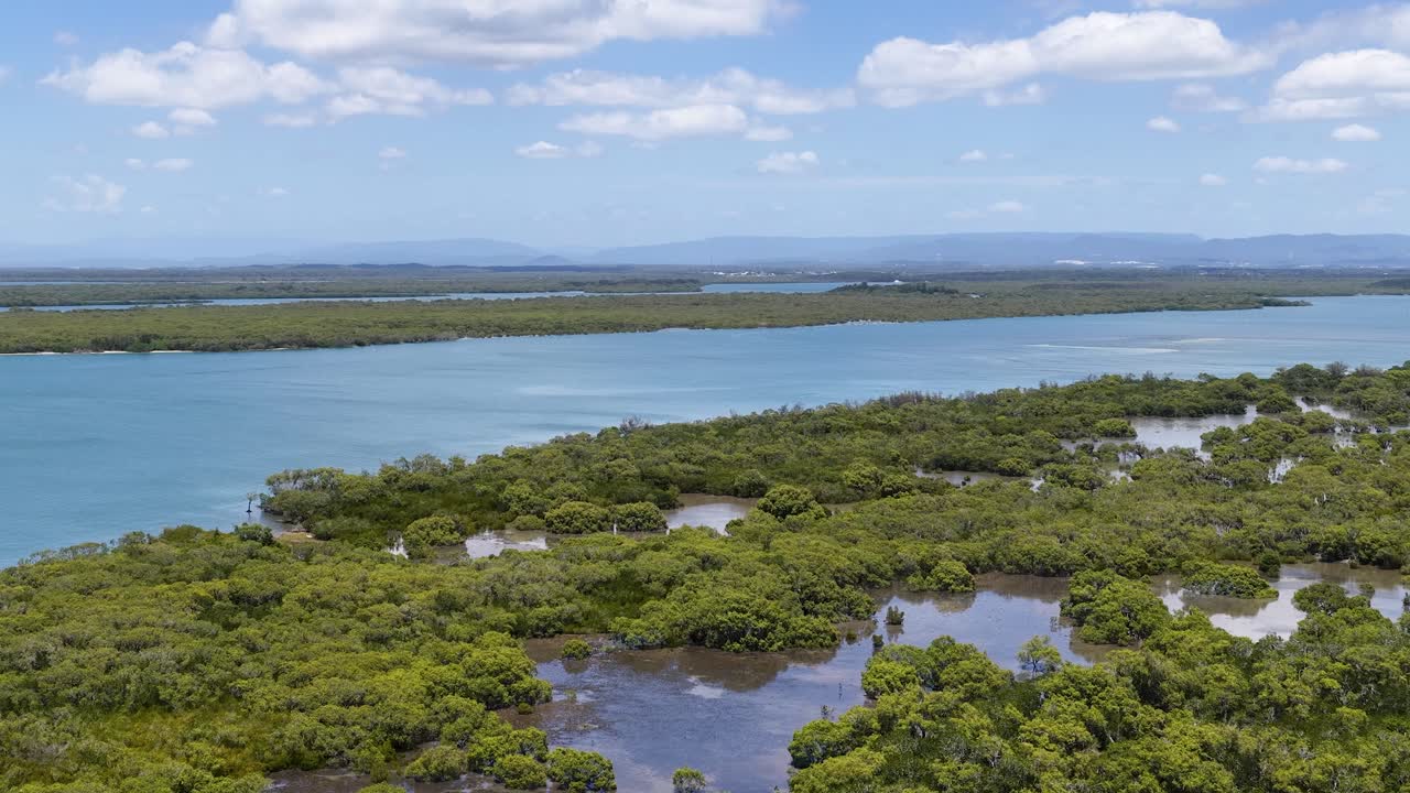 Uma filmagem de drone em ângulo alto captura manguezais verdejantes e canais de rio azuis sob a luz do sol brilhante