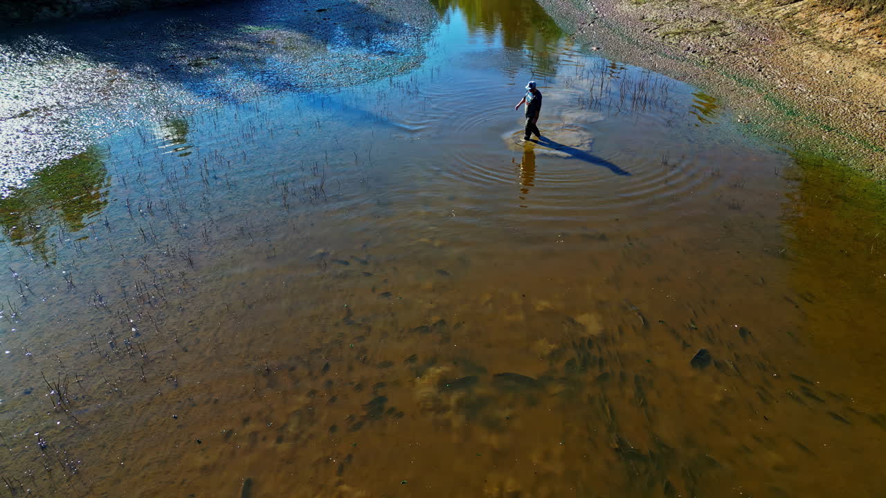 Environmental inspector checks the carp population in a shallow turbid river ecosystem