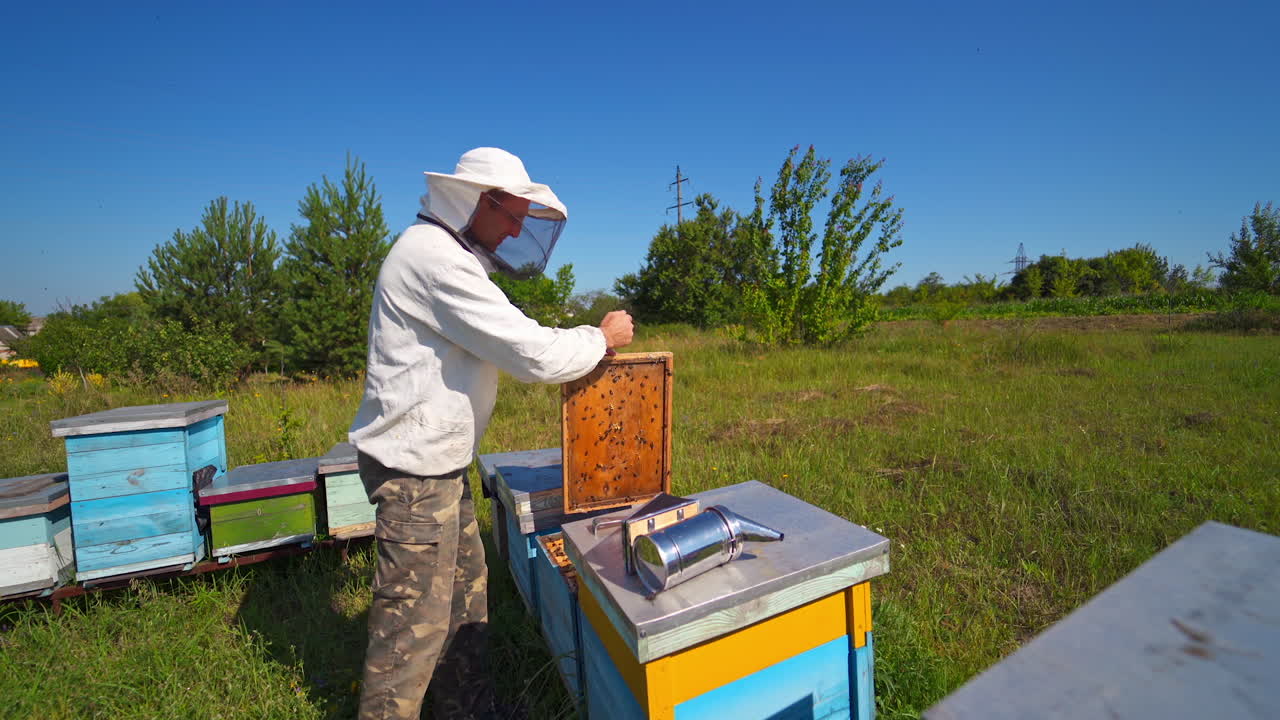 Beekeeper inspects bees. Apiarist on a bee farm on industrial pipes background. Wooden hives on green grass.