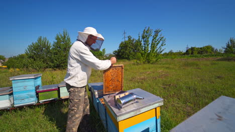 beekeeper inspects bees. apiarist on a bee farm on industrial pipes background. wooden hives on green grass.