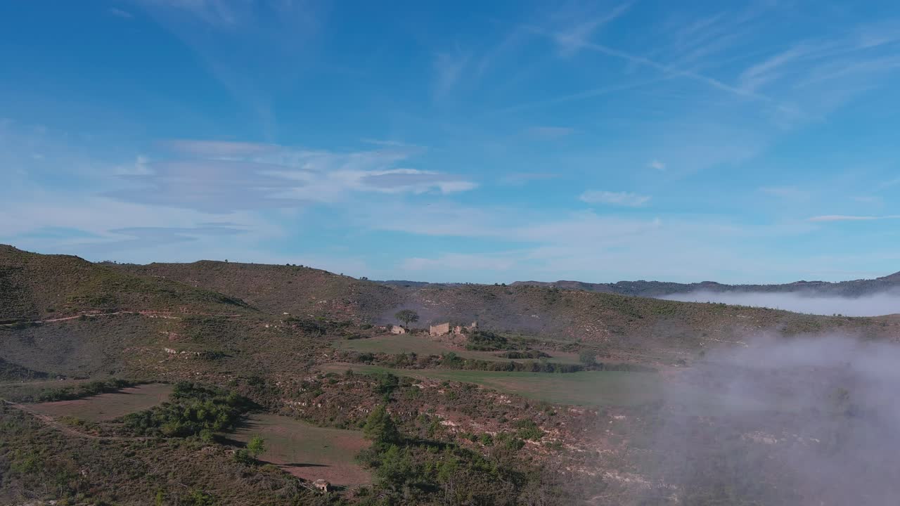 나무가 없는 십자가의 숲과 안개, 바르셀로나, 카탈로니아
