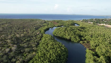 Drone-shot-tracking-the-curvy-Rio-Masacre,-to-the-ocean,-in-Dominican-Republic