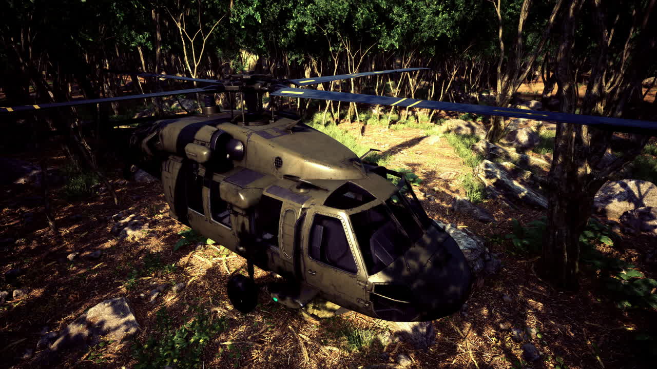Military helicopter resting among lush green trees in a forest