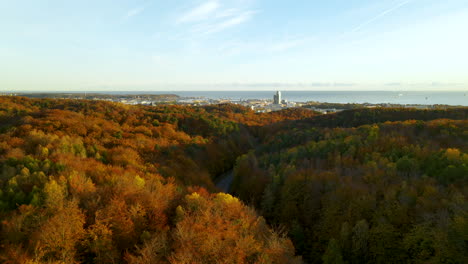 Colorido-Bosque-Otoñal-Caducifolio-Con-La-Ciudad-De-Gdynia-Y-El-Mar-Báltico-En-El-Fondo