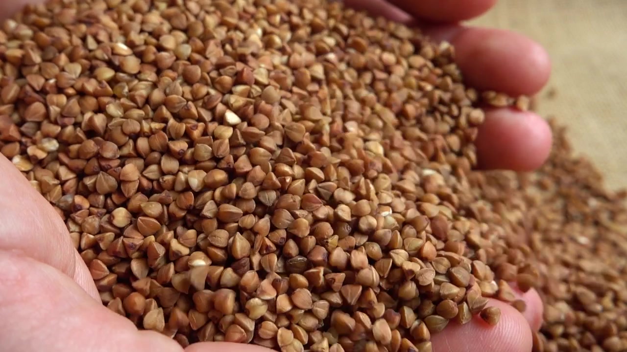 Il contadino prende il grano saraceno dai sacchi. Movimento lento