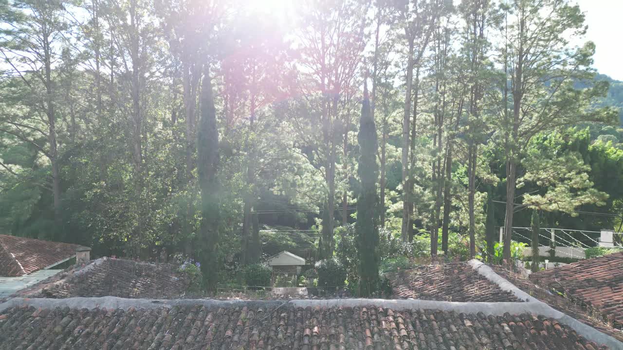 빛이 울창한 소나무 숲을 가로질러 필터링하여 울창한 온두라스 산악 지형 내의 마을을 드러니다.