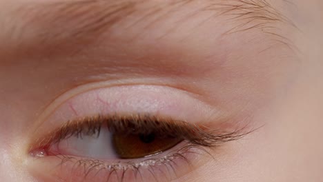 Human-brown-eye-iris-opening-pupil,-eyeball-of-child-looking-intro-distance-close-up-macro-shot