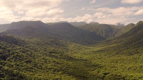Vista-Aérea-De-Drones-De-Montañas-Verdes-De-Verano-En-Un-Bosque-Tropical-Amazónico-En-Serra-Do-Mar,-Brasil
