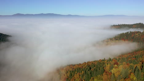 flight over autumn forest covered with dense fogs, mountains in background, romania