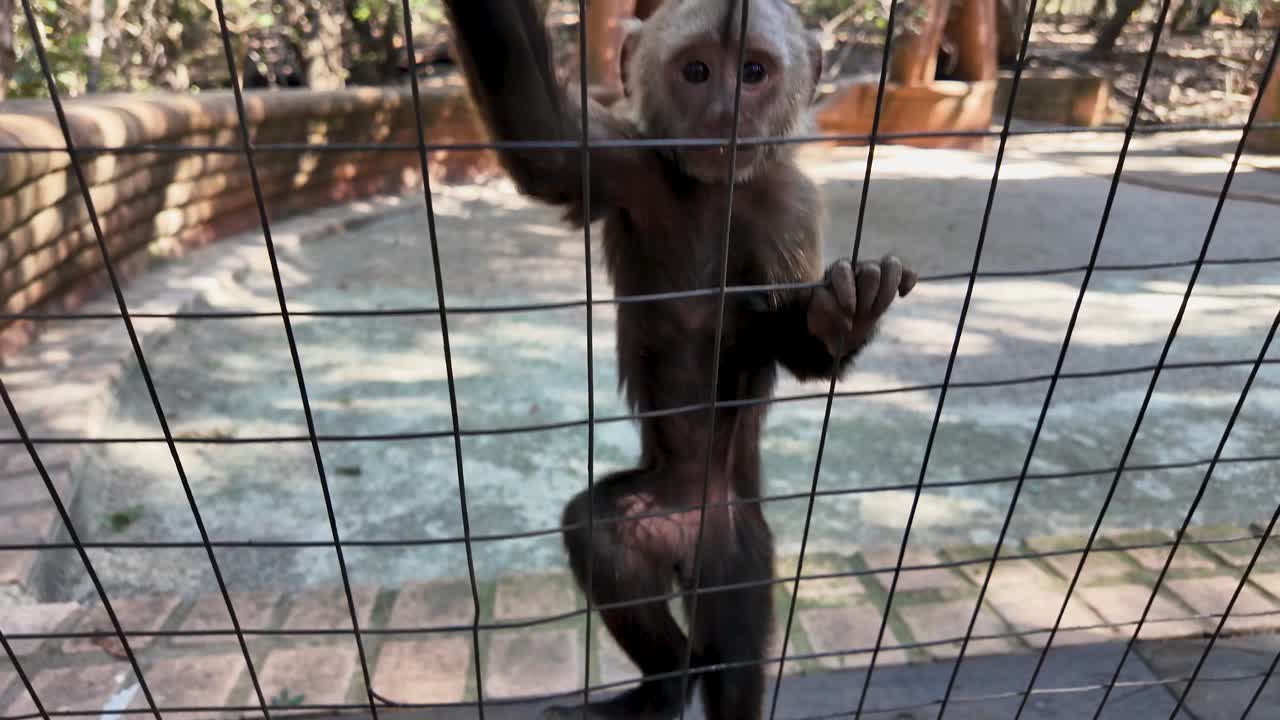 남아프리카 북서부 하트비스포트 (hartbeespoort) 에 있는 원이 보호구역.