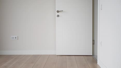 white door in modern interior