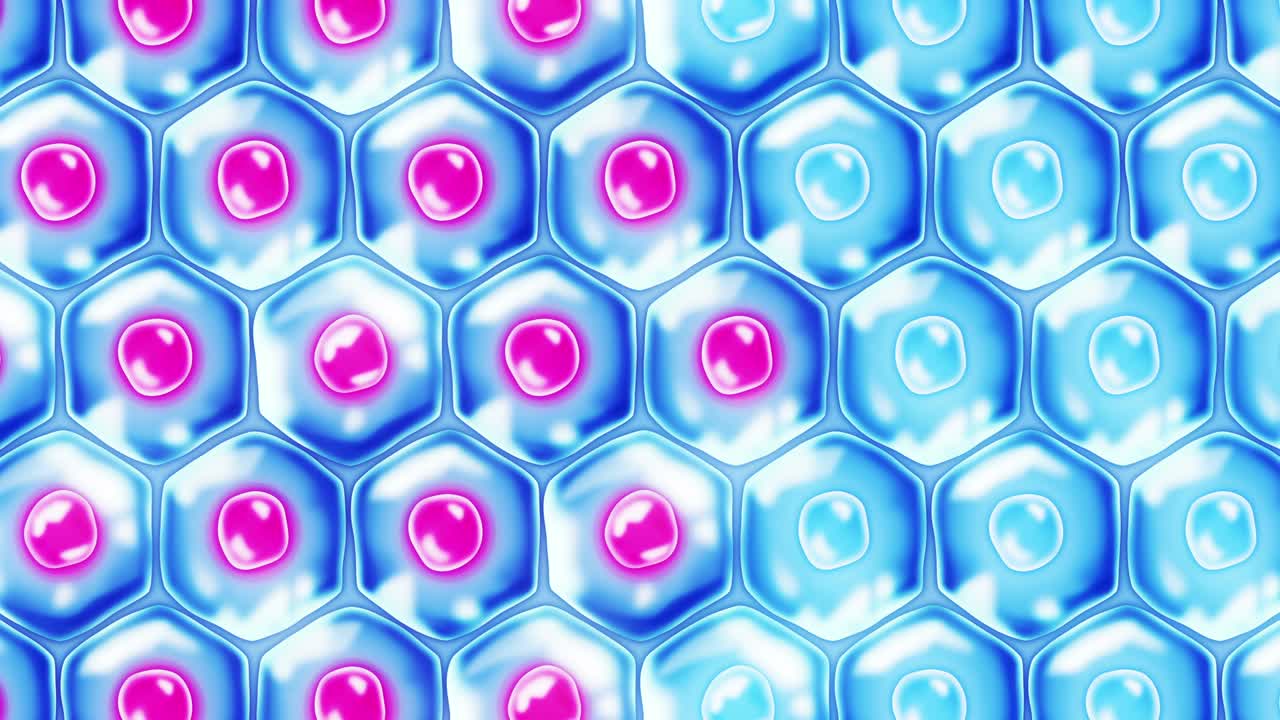 인간 피부 세포: 세포막을 가진 각 세포, 세포 치료, 질병 치료, 핵과 진공, 재생, 루프 애니메이션