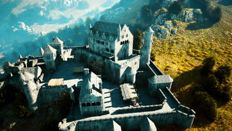 aerial view of a medieval castle