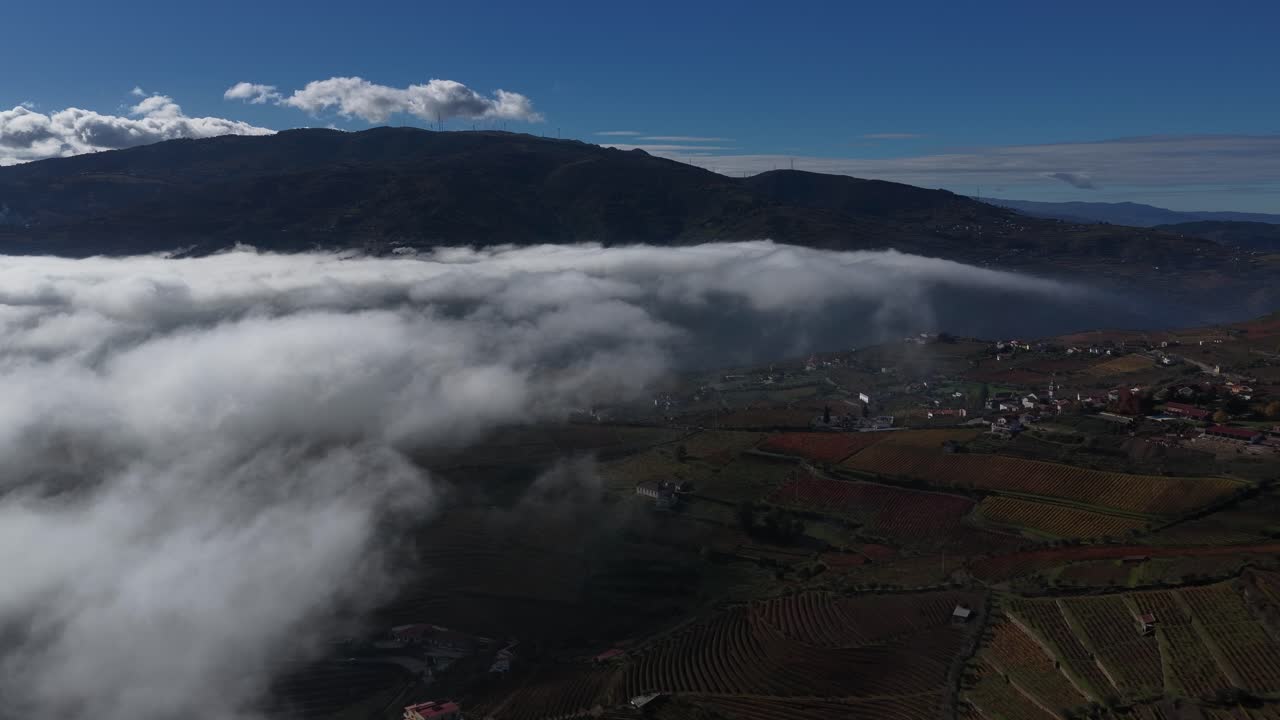 Colourfull vineyards and fog clouds in Douro Valley UNESCO world heritage